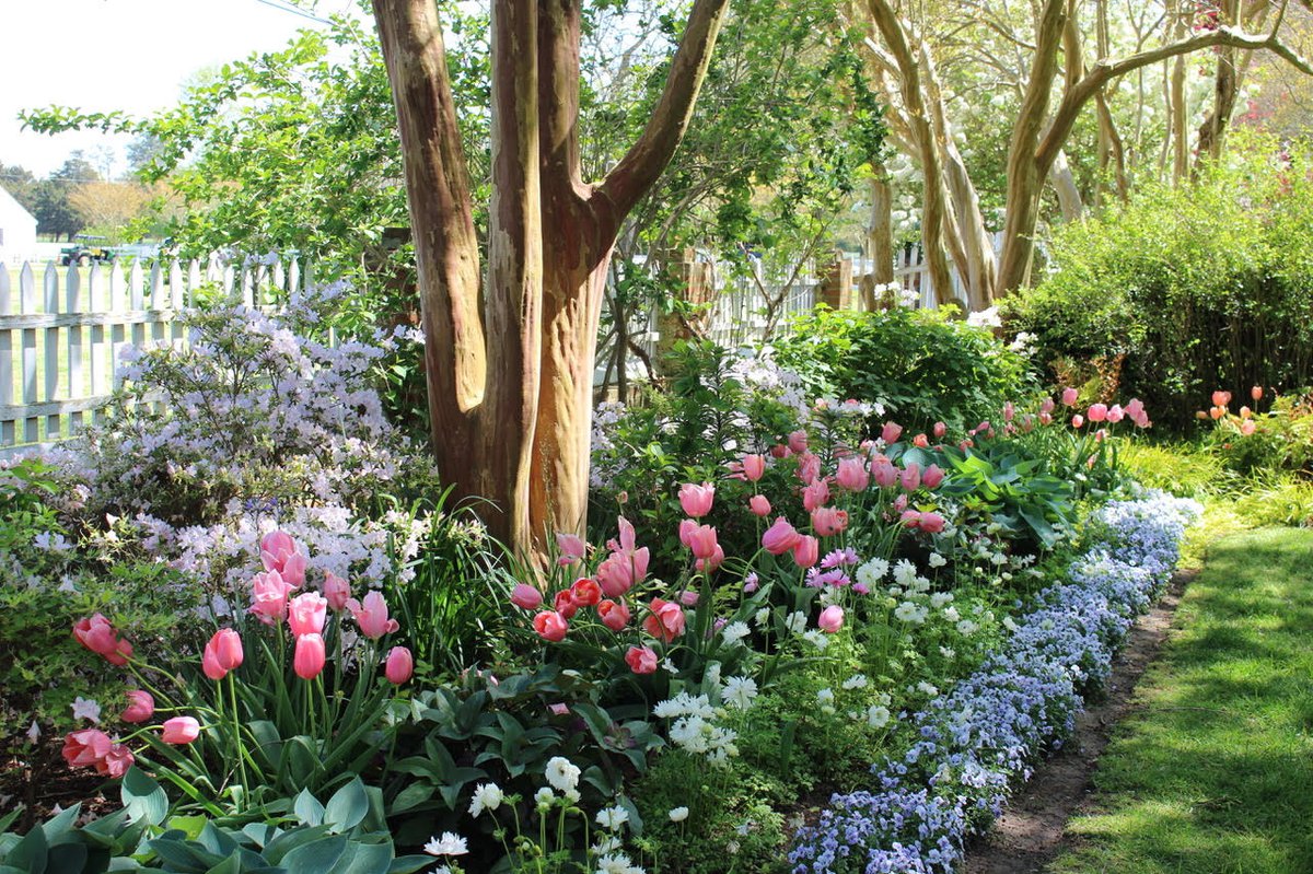 Historic Garden Week Will Bring Hope and Renewal to Virginia this